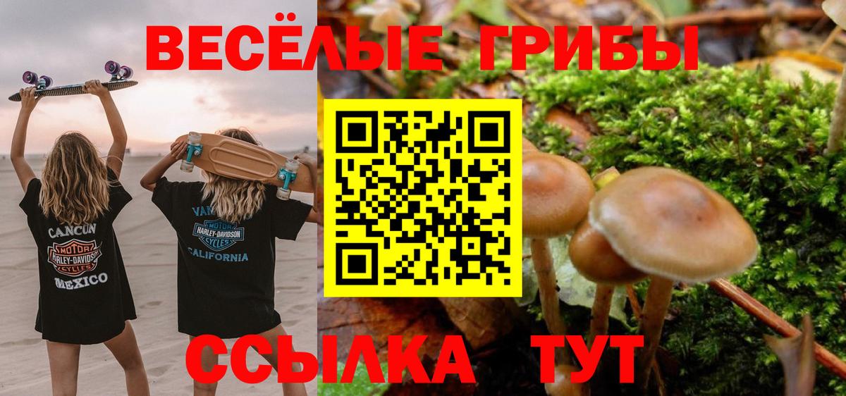 Псилоцибиновые грибы Magic Shrooms  Вход с VPN  Георгиевск 