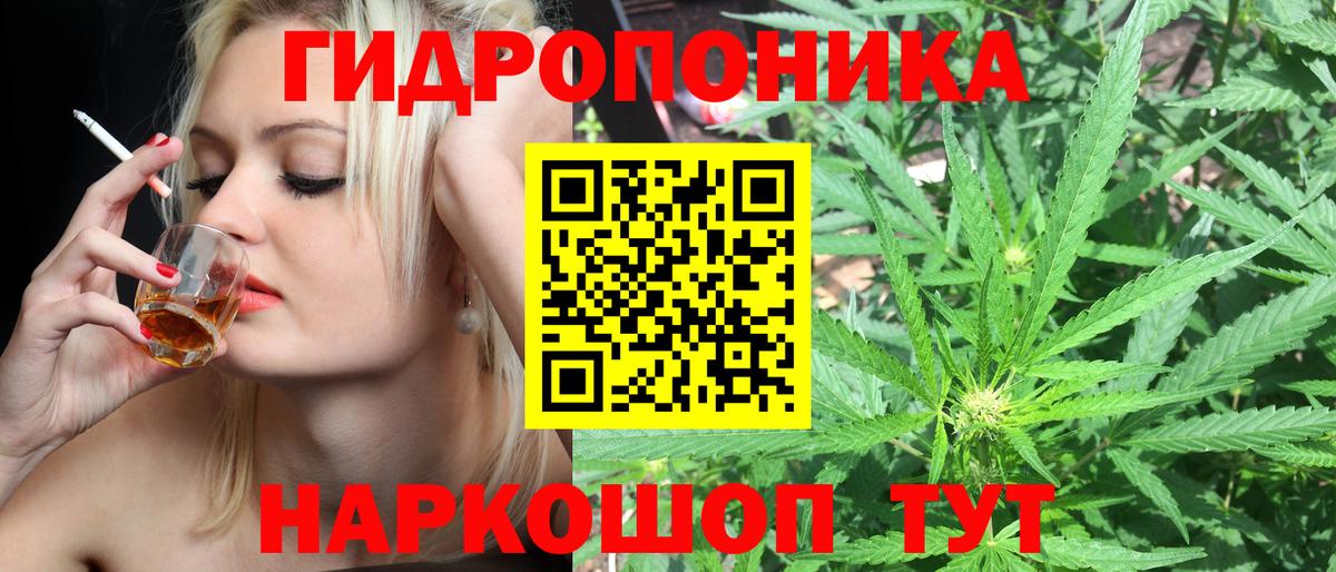 Каннабис OG Kush Георгиевск